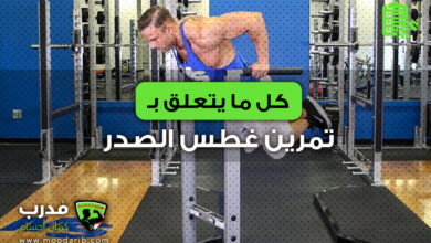 Chest Dips