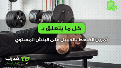 Dumbbell Bench Press