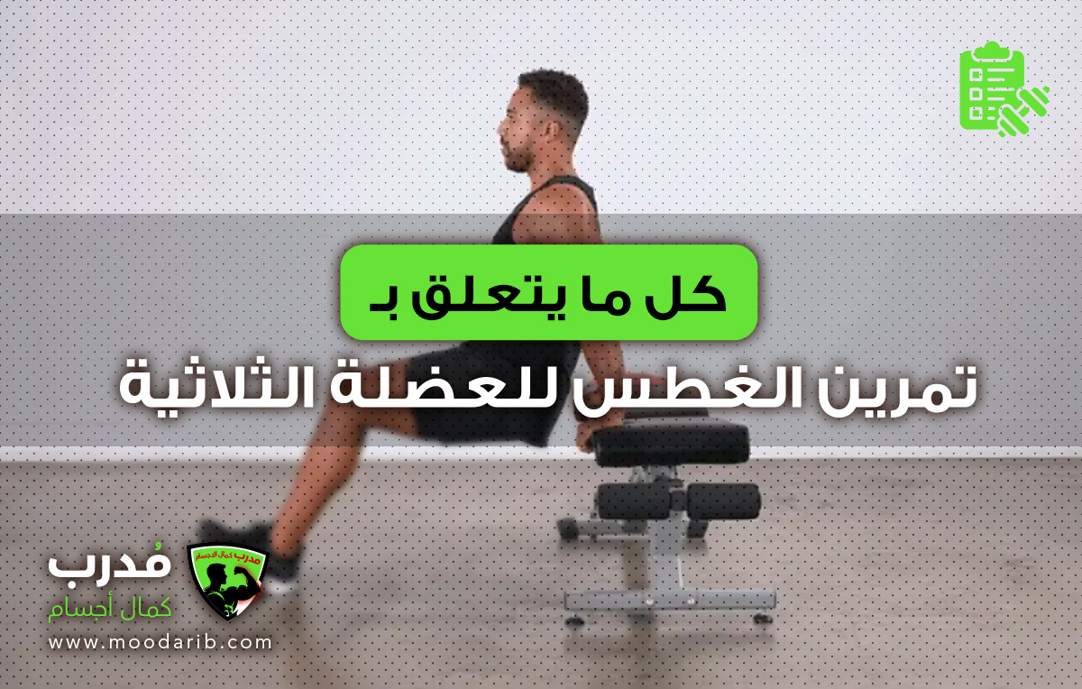 Triceps Dips