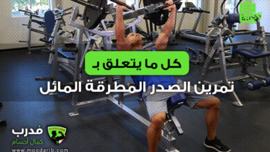 Lever Incline Hammer Chest